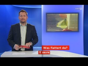 Viel-Falter_ORF