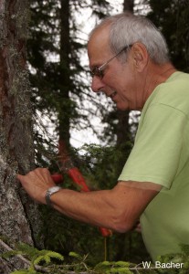 Roman Türk