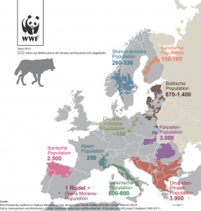 Wolf Europa 2013_ WWF