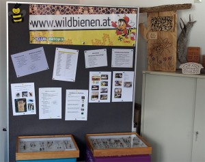 Wildbienen-Seminar LehrerInnen