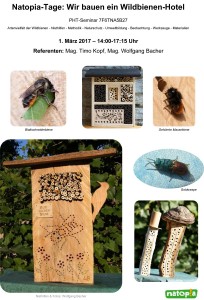 Wildbienen-Seminar