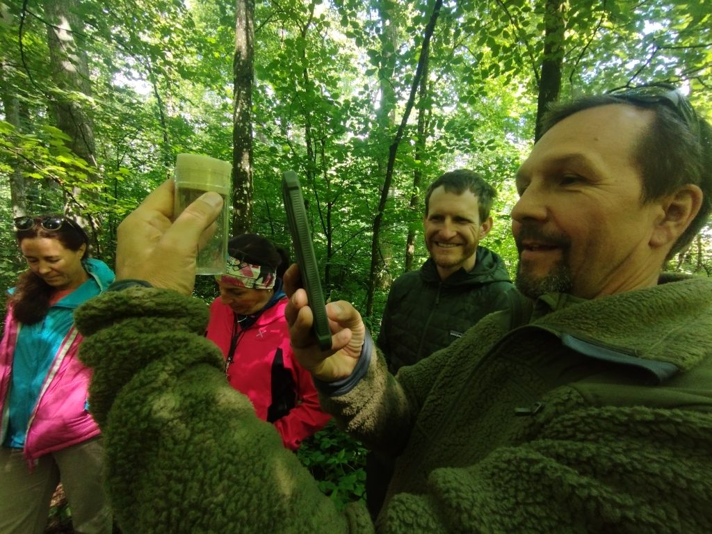 Die Holzwespen-Schlupfwespe ist beeindruckend