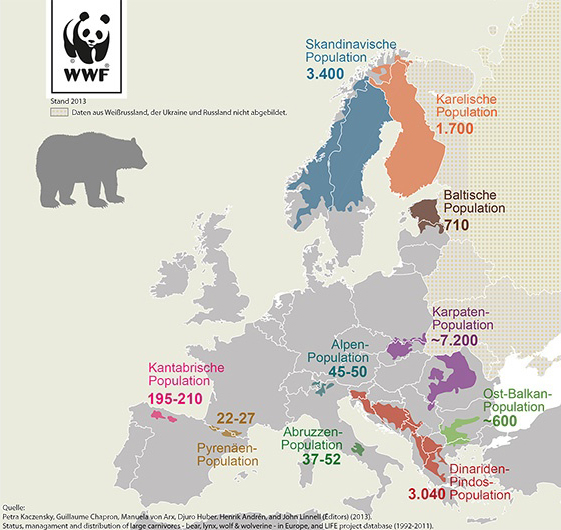 Bär Europa 2014 WWF