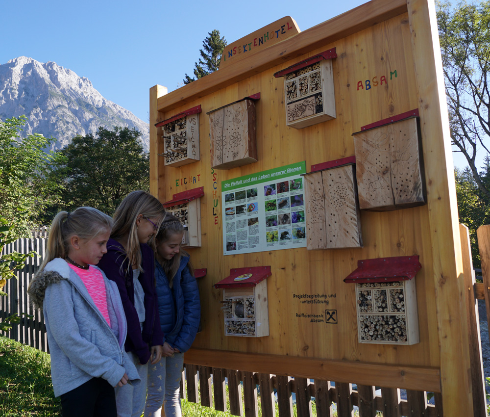 Wildbienenanlage In Absam Eröffnet