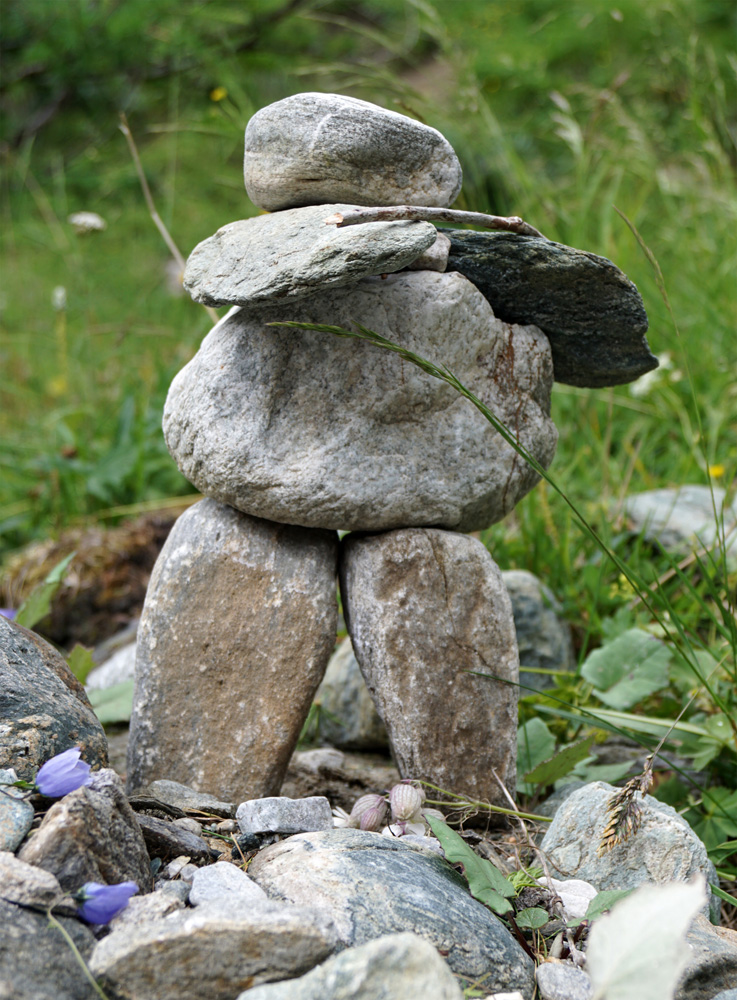 Naturführerkurs Im Nationalpark Hohe Tauern – 29. Juni – 2. Juli 2017