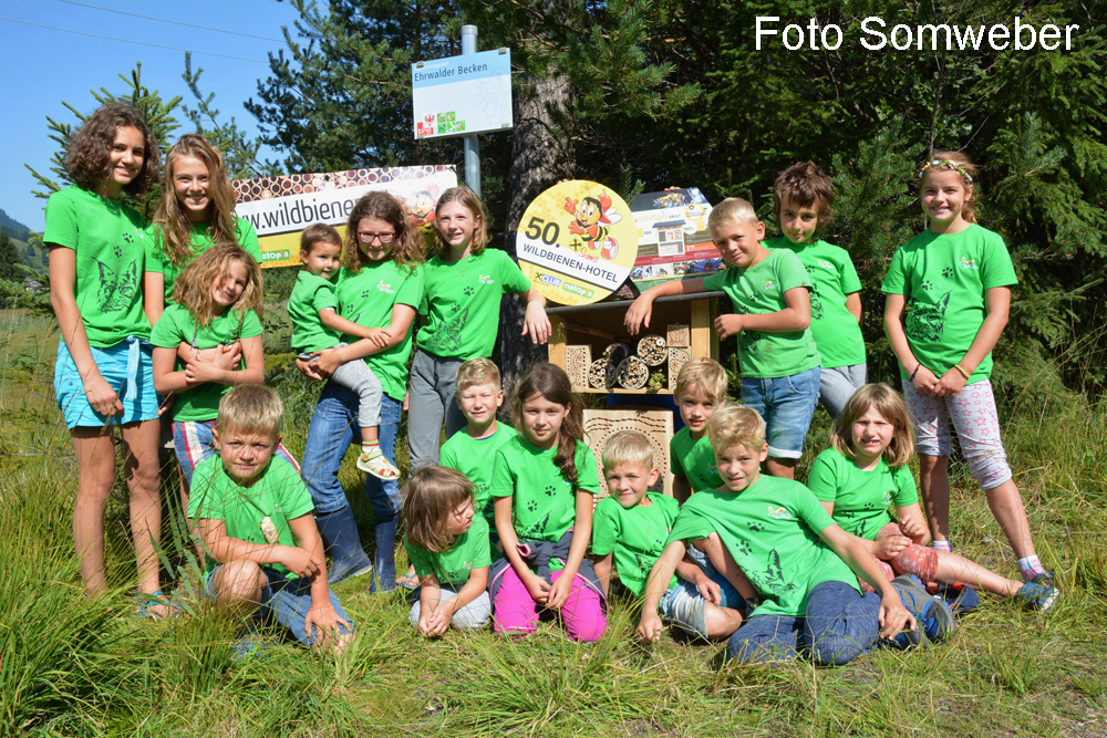 50. Tiroler Wildbienenhotel Eröffnet!