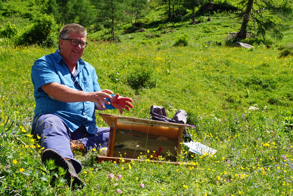 Nationalpark Hohe Tauern – 1. Bis 4. Juli 2021 – „Gebirge“