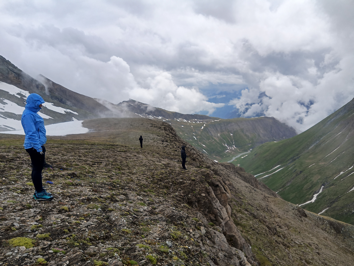 Überlebenskünstler Am Großglockner  – Tiroler Naturführerkurs 2021 Im Nationalpark Hohe Tauern