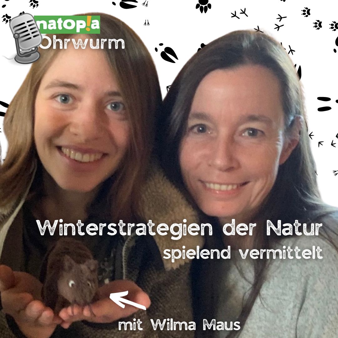 Natopia Ohrwurm – Winterstrategien Der Natur, Spielend Vermittelt